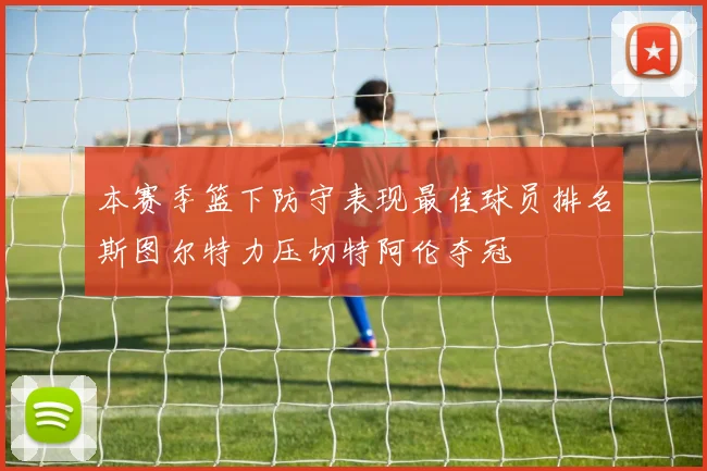 本赛季篮下防守表现最佳球员排名斯图尔特力压切特阿伦夺冠