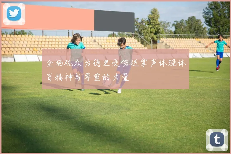 全场观众为德里受伤送掌声体现体育精神与尊重的力量